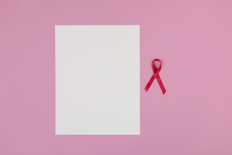 Education support program