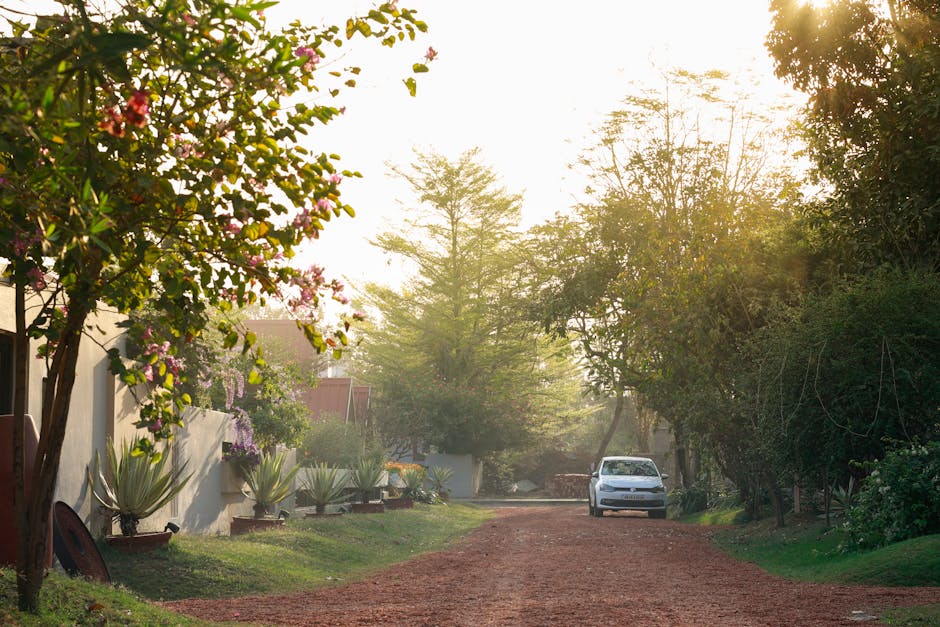 Financial accountability